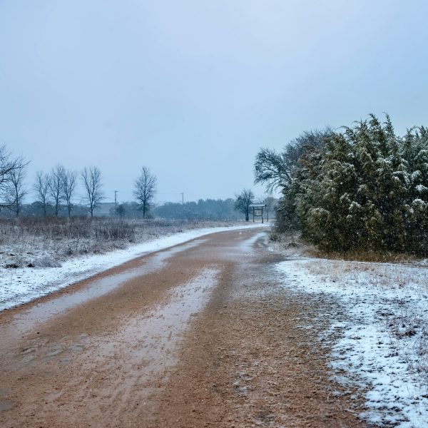 Sniegots un mitrs grants ceļš vijas cauri lauku ainavai. Labajā pusē ir sniegotu skujkoku rinda, kreisajā – kaili koki un apsnidzusi zāle. Viegli krīt sniegs no mākoņainām debesīm.